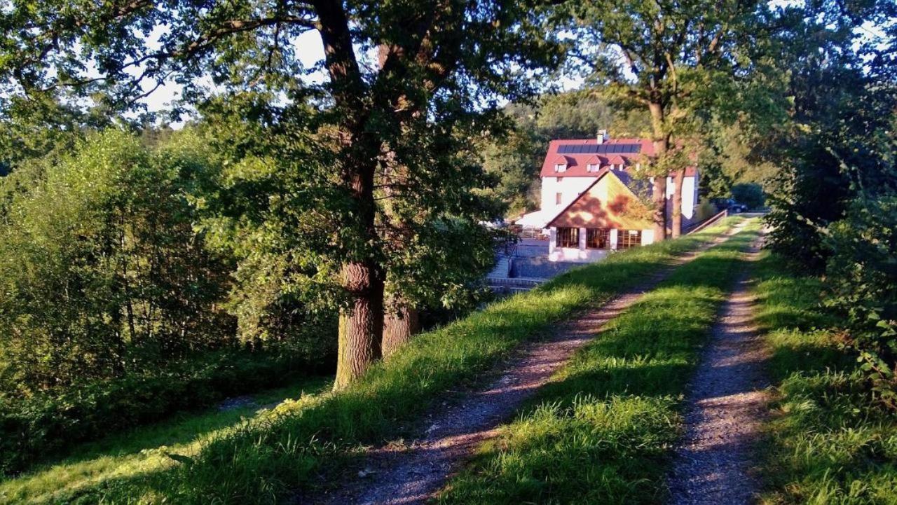 Hotel Mlyn Mitrovice Příbram Exterior foto